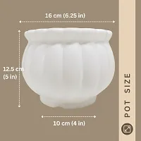 Decorative White Plastic Pot for Plants Pack Of 2-thumb4