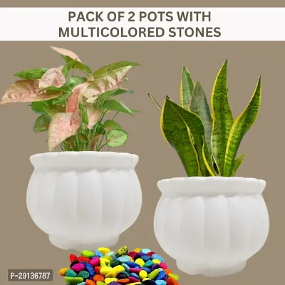 Decorative White Plastic Pot for Plants Pack Of 2-thumb0