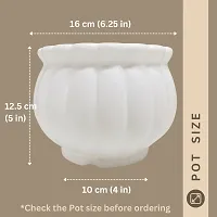 Decorative White Plastic Pot for Plants Pack Of 2-thumb1