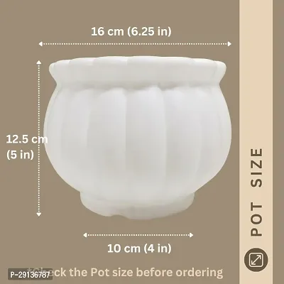 Decorative White Plastic Pot for Plants Pack Of 2-thumb2