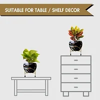 Designer Succulent Metal Pots with Legs Pack of 1-thumb3