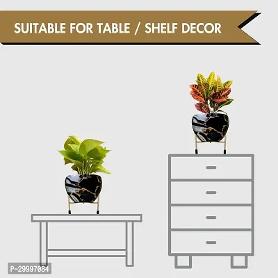 Designer Succulent Metal Pots with Legs Pack of 2-thumb4