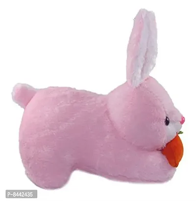 1 Pcs Pink Rabbit High Quality Soft Toys Best Gift For Kids And Valentine, Anniversary, Couple etc. ( Pink Rabbit  - 25 cm )-thumb2