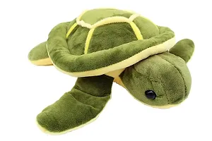 1 Pcs Tortoise And 1 Pcs Blue Love Teddy Best Gift For Couple High Quality Soft Toy ( Tortoise - 30 cm And Teddy - 25 cm )-thumb1