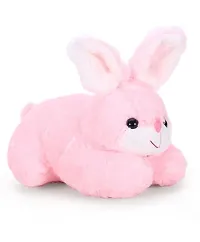 1 Pcs Yellow Rabbit And 1 Pcs Pink Rabbit High Quality Soft Martial Toys ( Yellow Rabbit - 25 cm And Rabbit - 25 cm )-thumb2