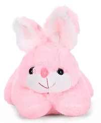 1 Pcs Yellow Rabbit And 1 Pcs Pink Rabbit High Quality Soft Martial Toys ( Yellow Rabbit - 25 cm And Rabbit - 25 cm )-thumb4