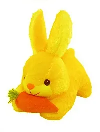 1 Pcs Yellow Rabbit And 1 Pcs White Rabbit High Quality Soft Martial Toys ( Yellow Rabbit - 25 cm And White Rabbit - 25 cm )-thumb1