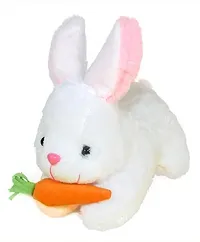 1 Pcs White Rabbit And 1 Pcs Grey Penguin High Quality Soft Martial Toys ( White Rabbit - 25 cm And Penguin - 30 cm )-thumb1