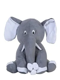1 Pcs Blue Teddy And 1 Pcs Grey Appu Elephant High Quality Soft Martial Toys ( Teddy - 25 cm And Elephant - 25 cm )-thumb2