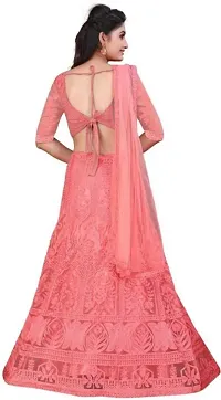 New Trendy Net Embroidered Semi Stitched Lehenga Choli-thumb1