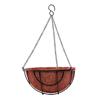 Hanging Planter Basket with Coco Liner, 10 Inch Metal Round Wire Plant Holder with Mesh and Chain for Decor | Planter | Pot Hanger | Garden Lawn Decoration | Indoor Outdoor Decor | Hanging Basket-thumb2