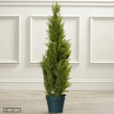 URAN Christmas Tree Plant-thumb0