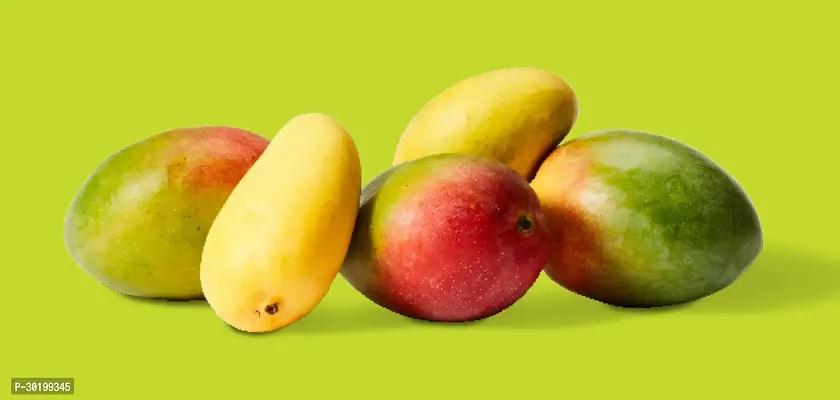 URAN Mango Plant-thumb0