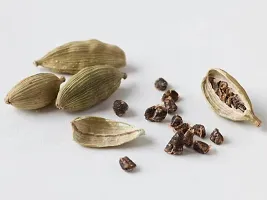 URAN Elaichi/Cardamom Plant-thumb2