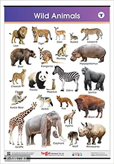 Jumbo Wild Animals Chart for Kids Learn about Jungle or Forest Animals at Home or School with Educational Wall Chart for Children-thumb0