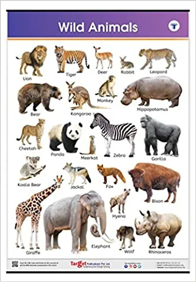 Jumbo Chart For Kids