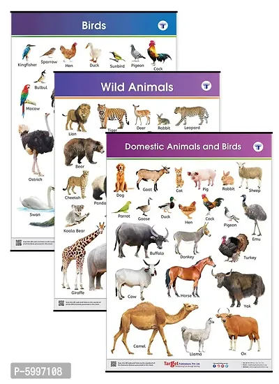 Jumbo Domestic and Wild Animals and Birds Charts for Kids Learn about Pet, Tame and Wild Animals and Birds at Home or School with Educational Wall Chart for Children