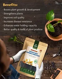 Vermicompost Fertilizer For Plants|100% Natural Organic Earthworm Vermicompost, Pack of 2-thumb2