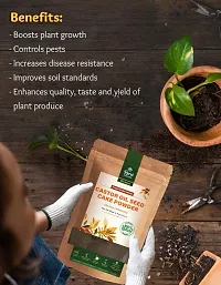 Castor Oil Cake Powder Organic Fertilizer NPK Micronutrients For Plants 800 g, Pack Of 2-thumb2