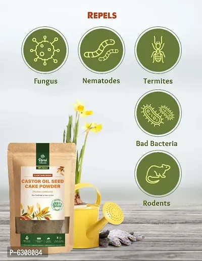 Castor Oil Cake Powder Organic Fertilizer NPK Micronutrients For Plants 800 g, Pack Of 2-thumb5