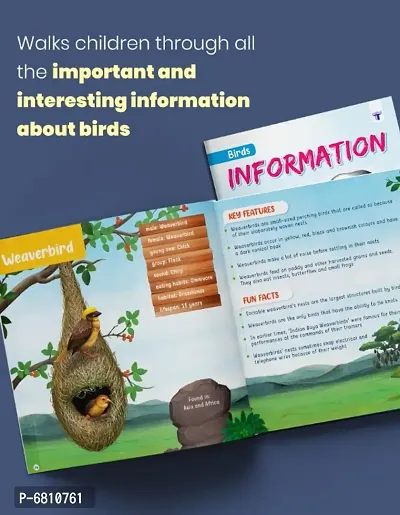 Picture Dictionary Book A and Bird Information Book for Kids | Book Includes Introduction to Objects Around us  Birds Encyclopedia | General Knowledge Book for Children | Combo of 2-thumb3