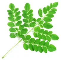 Natural Health Products Natural Moringa leaf Powder 200 gram-thumb2