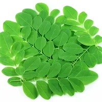 Natural Health Products Natural Moringa leaf Powder 200 gram-thumb3