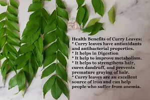 Natural Health Products 100% Natural Curry Leaves (Kadi Patta) Powder (Sun Dried  Stemless) for Strong and Shiny Hair 100Gms-thumb1