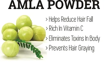 Amla Powder for Drink - 227gm-thumb2