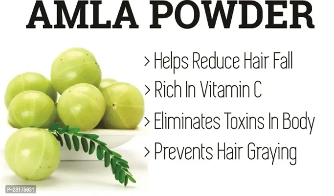 Amla Powder for Drink - 227gm-thumb3