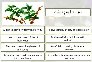 Natural Health Premium Ashwagandha Powder- 227g-thumb1