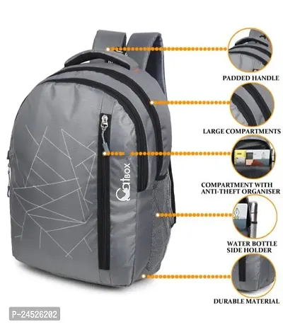 Catbox Medium 30 L Laptop Backpack School and College Bags Grey New Jaal