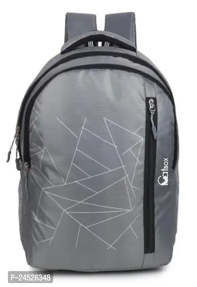 Catbox Medium 30 L Laptop Backpack School and College Bags Grey New Jaal