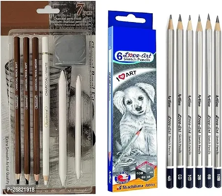 Definite Art Black and White Charcoal Pencil Kit With Blending Stumps And Kneadable Eraser For Artists Students(With 6 Graphite Sketching Pencils)