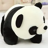 Beautiful Soft Toy for Kids-thumb1