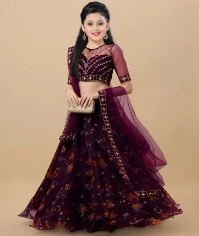 Trendy Net Lehenga Cholis 