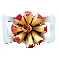 Slings Combo Of Stainless Steel Apple Cutter  Plastic Manual Orange/Sweet Lime Juicer Squeezer (Color May Vary)-thumb3