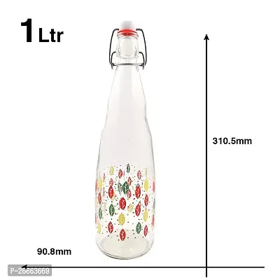 Machak Printed Glass Water Bottle With Cork For Home Decoration-thumb2