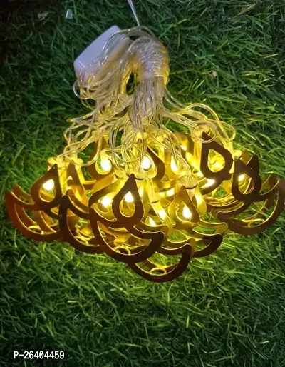 Decorative 12 LED Golden Metal Shape LED Light -6 Meter