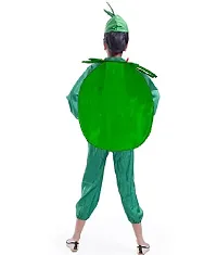 Fancy Steps Fruits and vegetable fancy Dress costume for Kids Costume Wear cutout with Jumpsuit  (Watermelon)small-thumb1