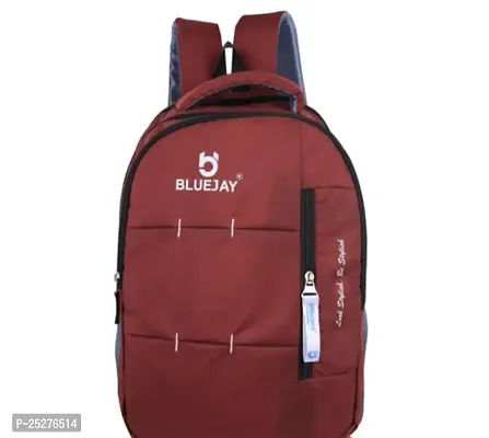 Laptop Or Office Bag For Men And Women-thumb0