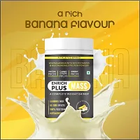 Enrich Plus Mass Ganer  Banana Flavour  Powder(pack of 1)500 G-thumb1