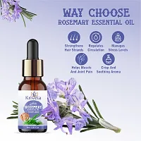 Rosemary Essential Oil  Pure for Increasing Healthy Shiny Hair Re-Growth  Reduce Dandruff, 15 Ml-thumb2