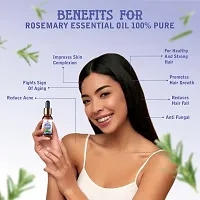 Rosemary Essential Oil  Pure for Increasing Healthy Shiny Hair Re-Growth  Reduce Dandruff, 15 Ml-thumb3