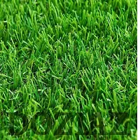 DOZIAZ Artificial Grass Doormat for Balcony  Roof Soft and Durable Plastic Turf Carpet Mat-thumb2