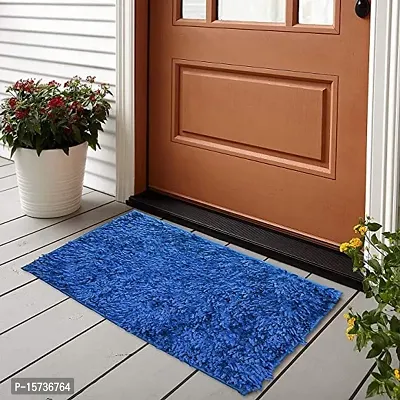 DOZIAZ Polyester Shaggy Doormat for Hall, Kitchens, Bedroom, Living Room and Cabins (2 Size 40x60cm or 16x24inches  45 * 75cm or 18 * 28inches)