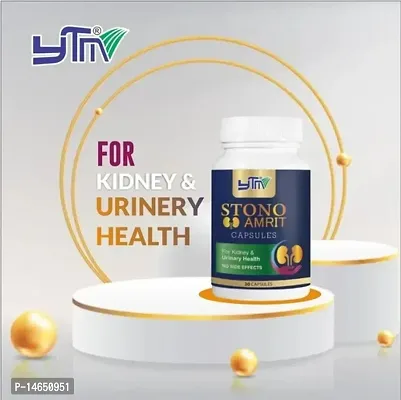 YTM Stono Amrit Capsules for Kidney  Urinary Health (30 Capsules)-thumb2