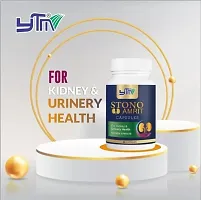 YTM Alkafyn Alkalizer (200ml)  Stono Amrit Capsules for Kidney  Urinary Health (30 Capsules) - Combo of 2 Items-thumb1