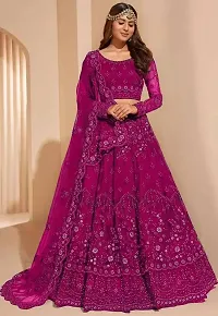 Stylish Net Embroidered Lehenga Choli for Women-thumb2