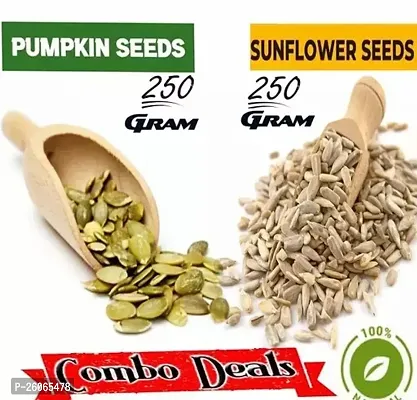 Pumpkin Seeds / Sunflower Seeds - Combo Pack Of 500 Gram